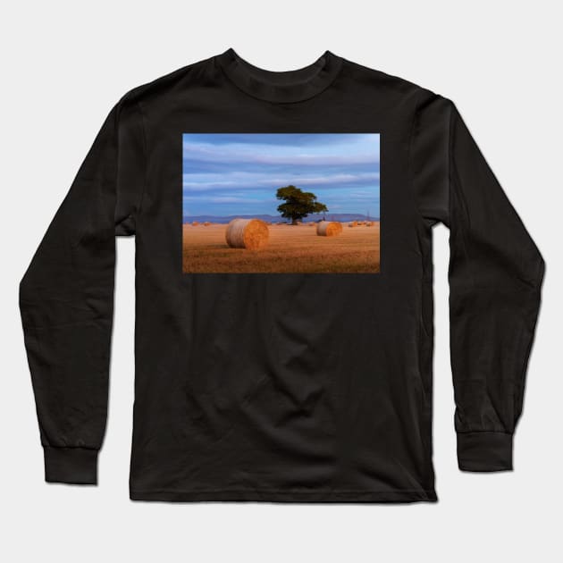 Autumnal Harvest Long Sleeve T-Shirt by TMcG72